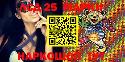 mdma Гатчина